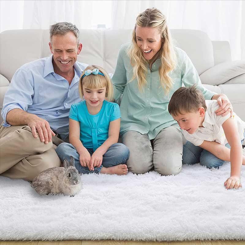 Nordic Style Furry Carpet Mat - Delightful Decor