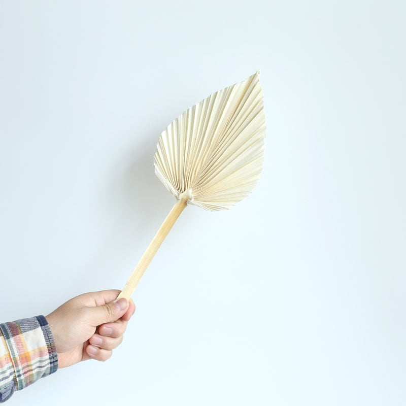 White fan leaf palm table top decoration - Delightful Decor