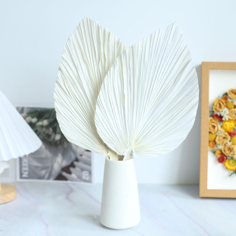 White fan leaf palm table top decoration - Delightful Decor