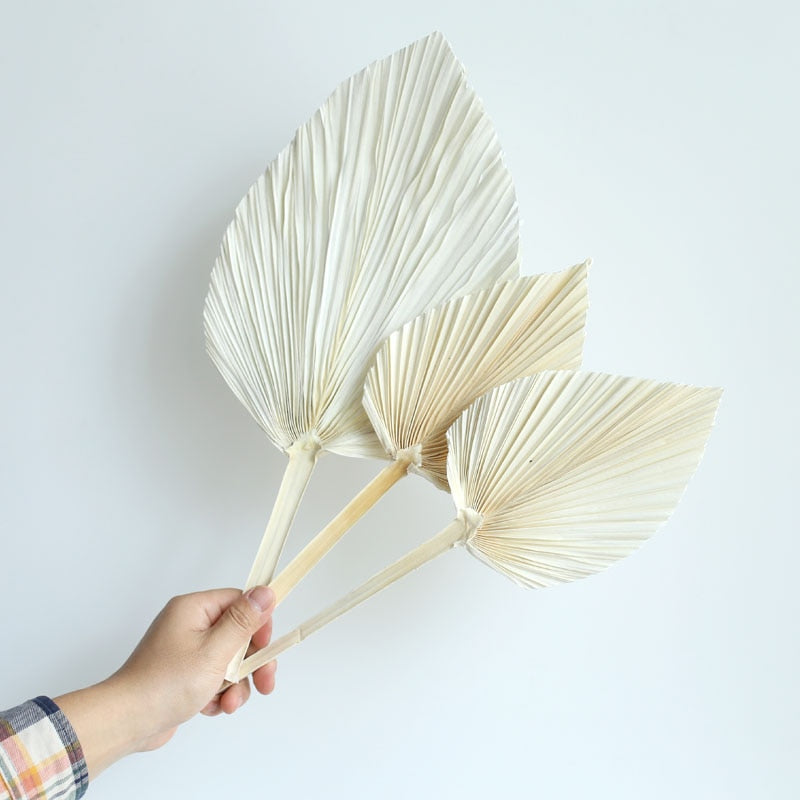 White fan leaf palm table top decoration - Delightful Decor